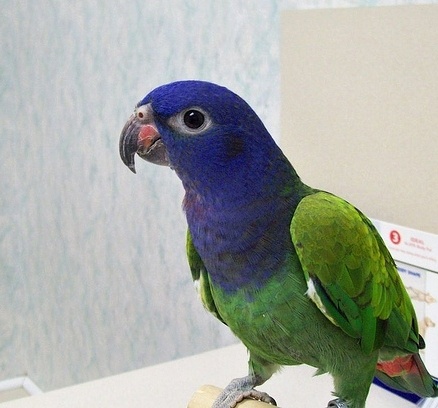 Foto 5